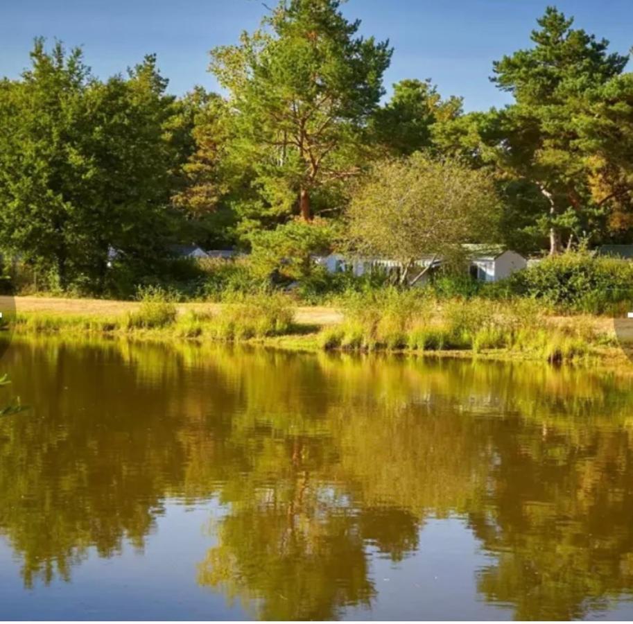 Camping Tohapi Coeur De Vendee La Boissiere-de-Montaigu Luaran gambar